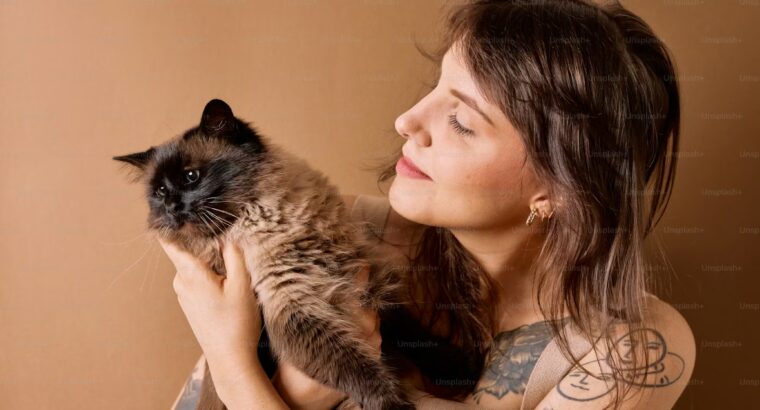 CraftInk Tattoo & Piercing Lounge