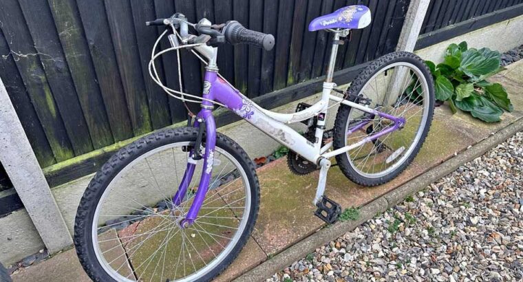 Girls Bicycle