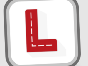 Lady Driving Instructor